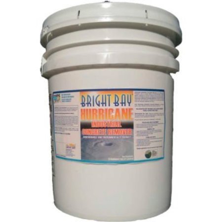 BRIGHT BAY PRODUCTS, LLC Hurricane Industrial Concrete Remover, 5 Gallon Pail 1/Case - H1005